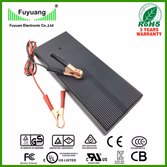 cargador de batería de plomo ácido del cargador de batería 12V100ah de 14.6V10A 20A 30A 40A LiFePO4